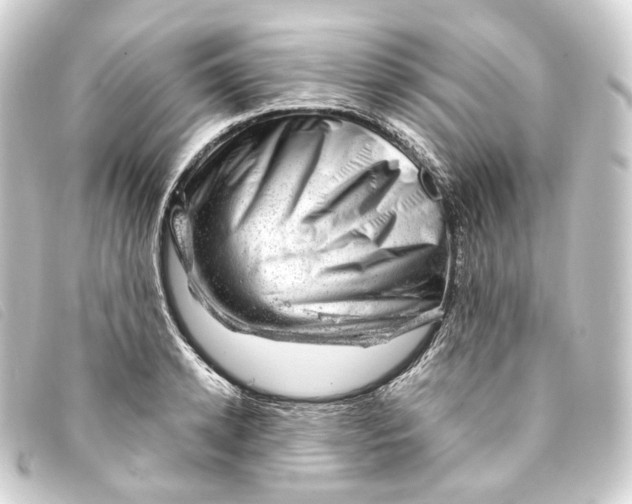 X0000093210942200710241154