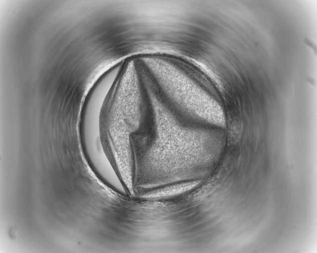X0000093210943200710241154