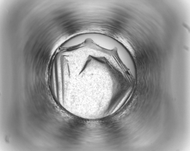 X0000093210944200710241154