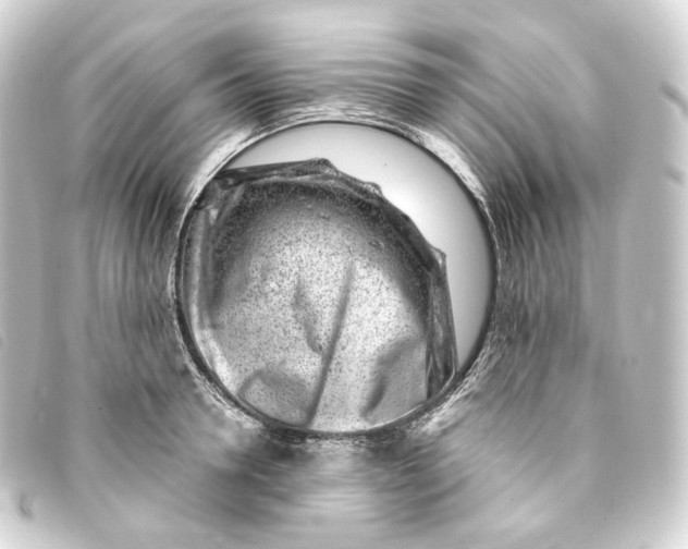 X0000093210946200710241154