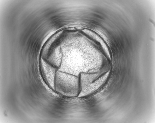 X0000093210949200710241154