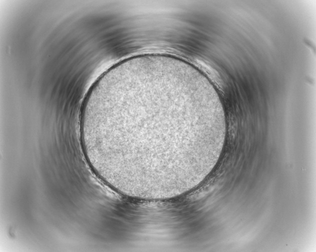 X0000093210950200710241154