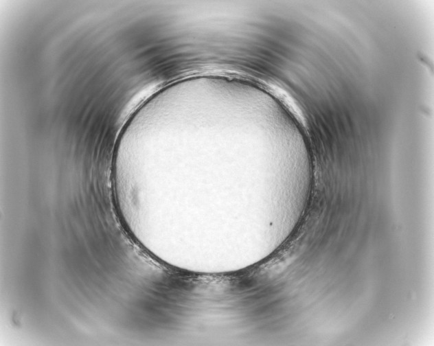 X0000093210954200710241155