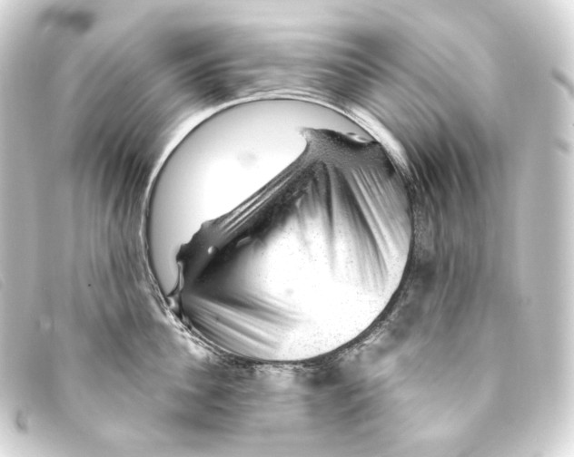X0000093210956200710241155