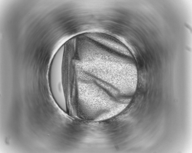 X0000093210959200710241155