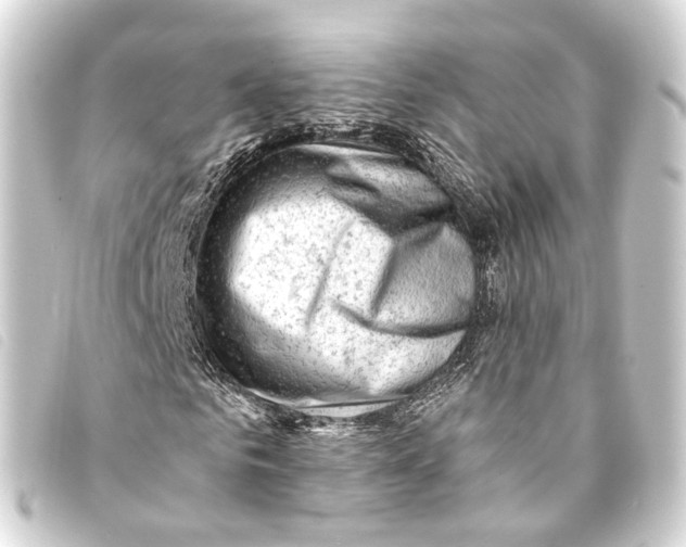 X0000093210961200710241154