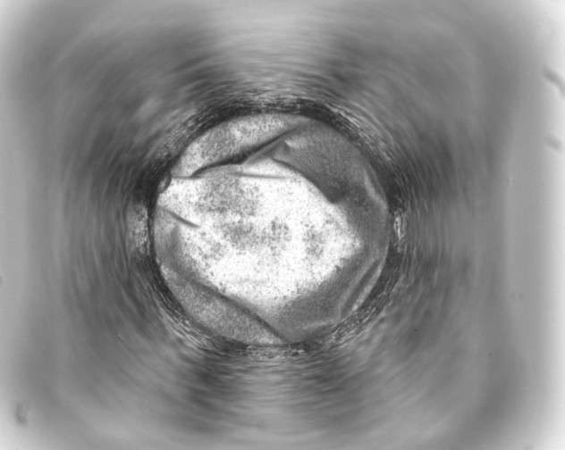 X0000093210963200710241154