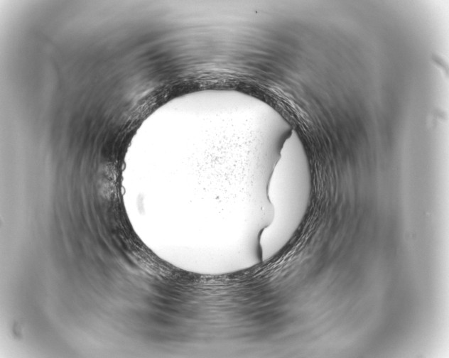 X0000093210964200710241154