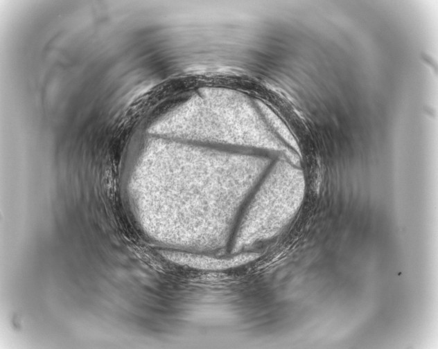 X0000093210966200710241154