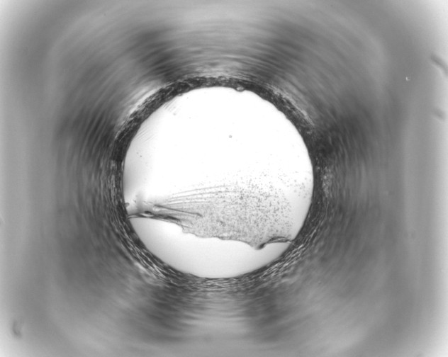 X0000093210968200710241154