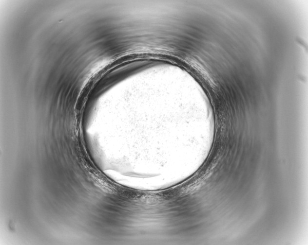 X0000093210974200710241154
