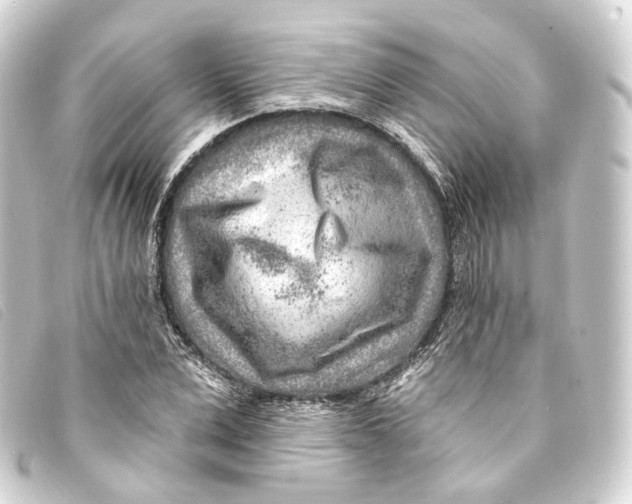 X0000093210975200710241154
