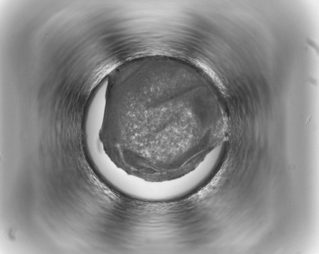 X0000093210977200710241154