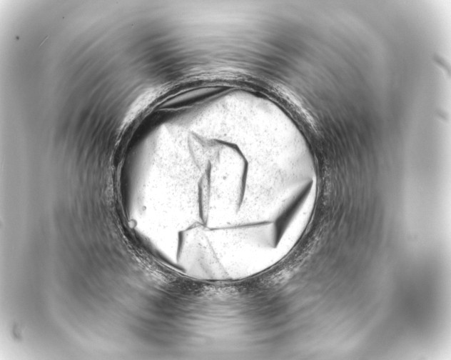 X0000093210978200710241154