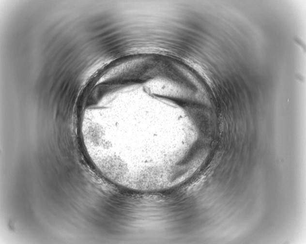 X0000093210979200710241154