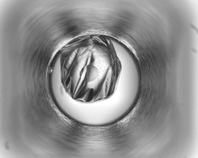 X0000093210981200710241154