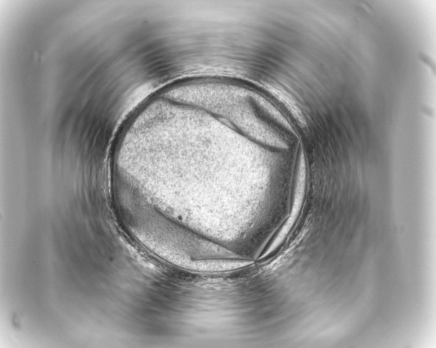 X0000093210982200710241154