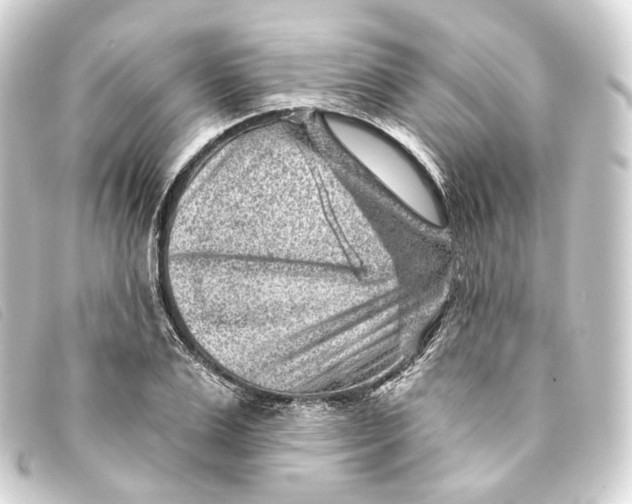 X0000093210983200710241154