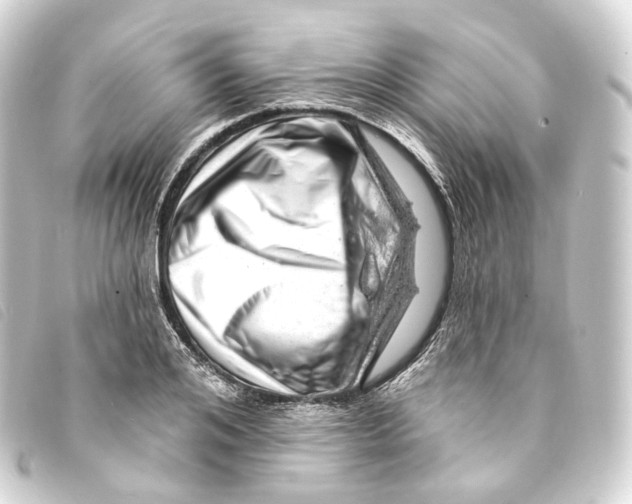 X0000093210984200710241154