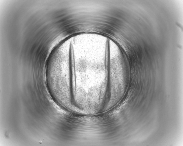X0000093210987200710241154