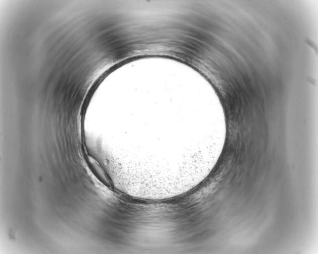 X0000093210988200710241154