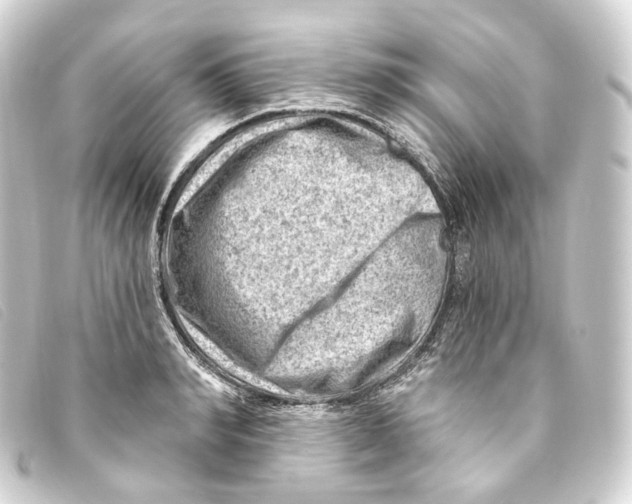 X0000093210990200710241154