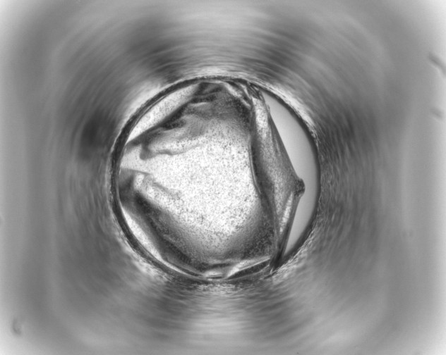 X0000093210991200710241154