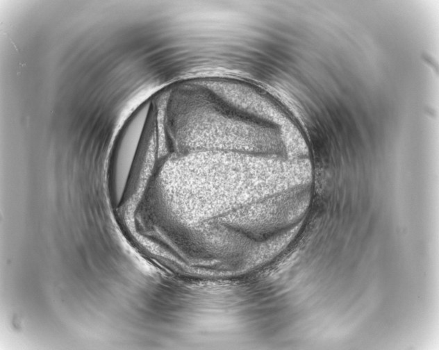 X0000093210995200710241154