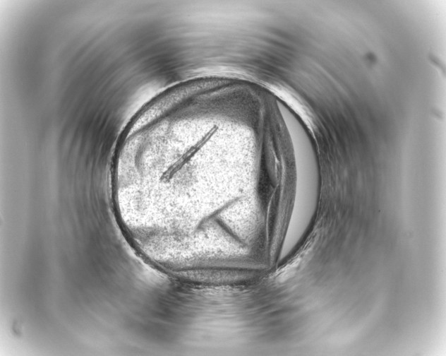 X0000093210999200710241154