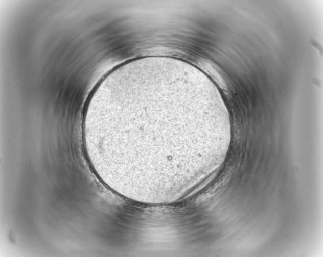 X0000093211000200710241154