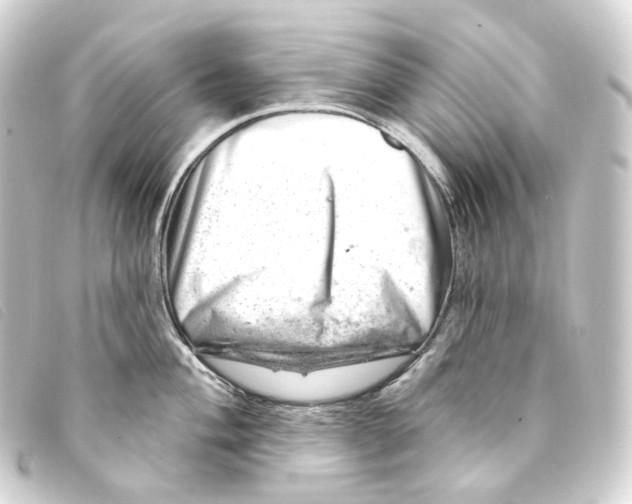 X0000093211004200710241153