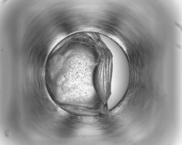 X0000093211007200710241153