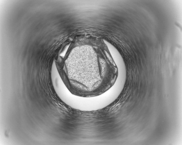 X0000093211010200710241153