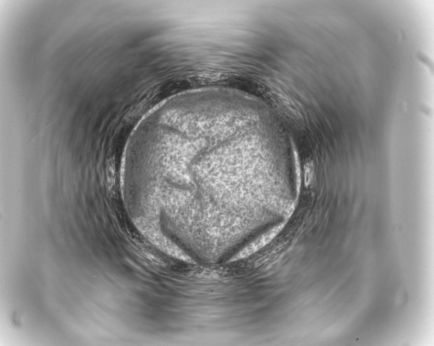 X0000093211011200710241153