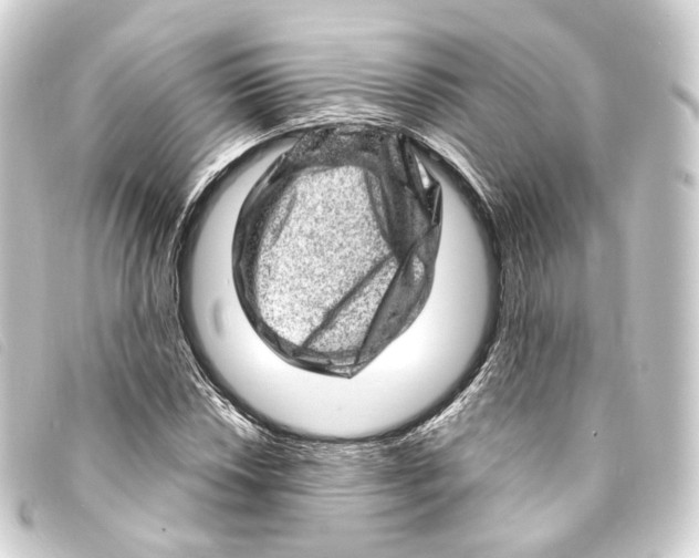 X0000093211018200710241153
