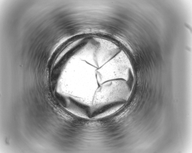 X0000093211021200710241153