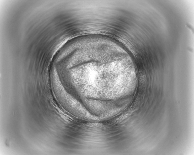 X0000093211023200710241153