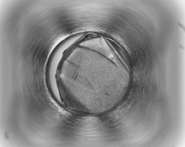 X0000093211024200710241153