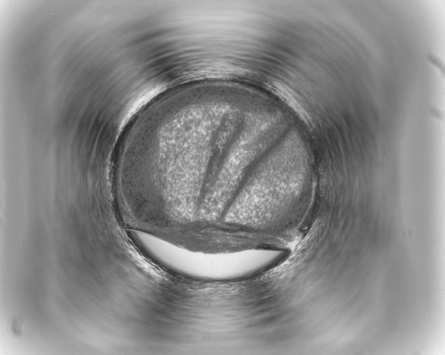 X0000093211026200710241153