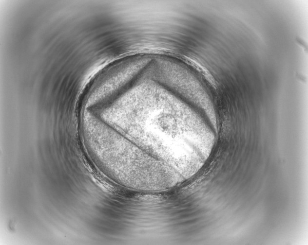 X0000093211027200710241153