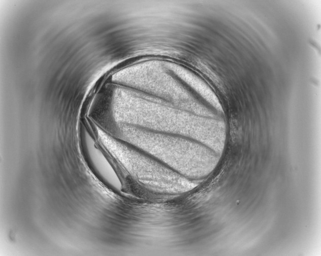 X0000093211028200710241153