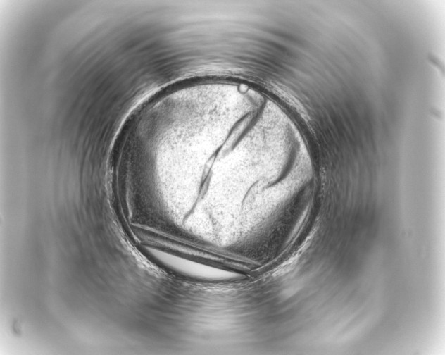 X0000093211029200710241153
