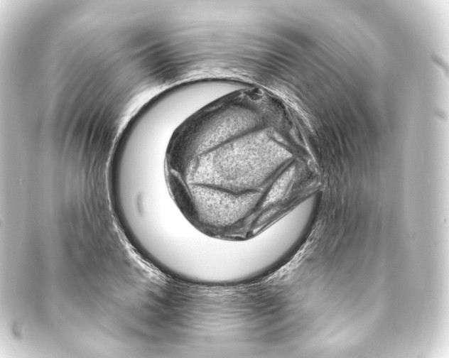 X0000093211030200710241153