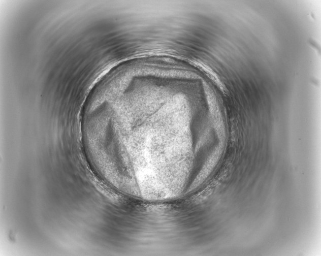 X0000093211031200710241153