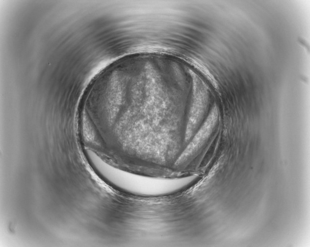 X0000093211037200710241153