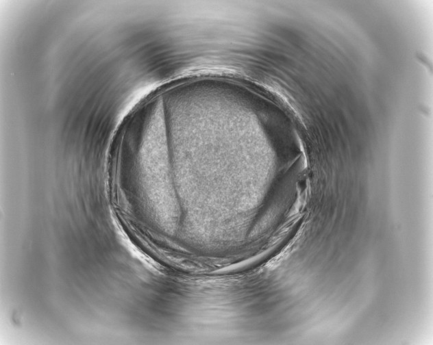 X0000093211038200710241153