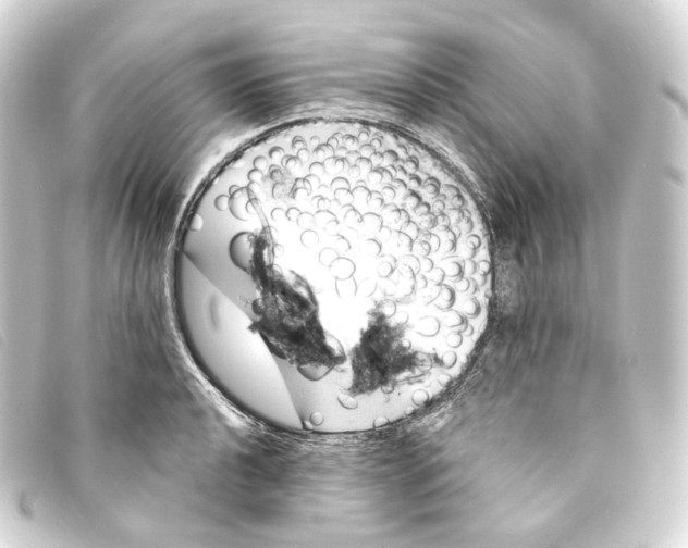 X0000093211040200710241153