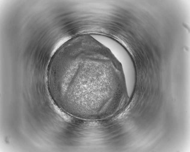 X0000093211042200710241153