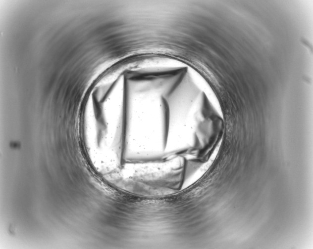 X0000093211044200710241153