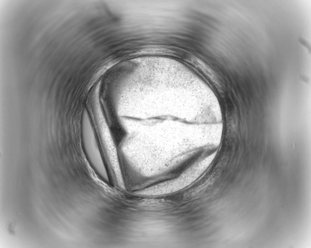 X0000093211049200710241153